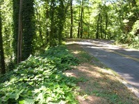 Media_http2bpblogspot_tceta